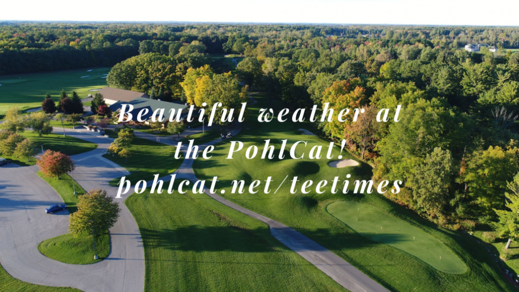 PohlCat-Weather-Blog